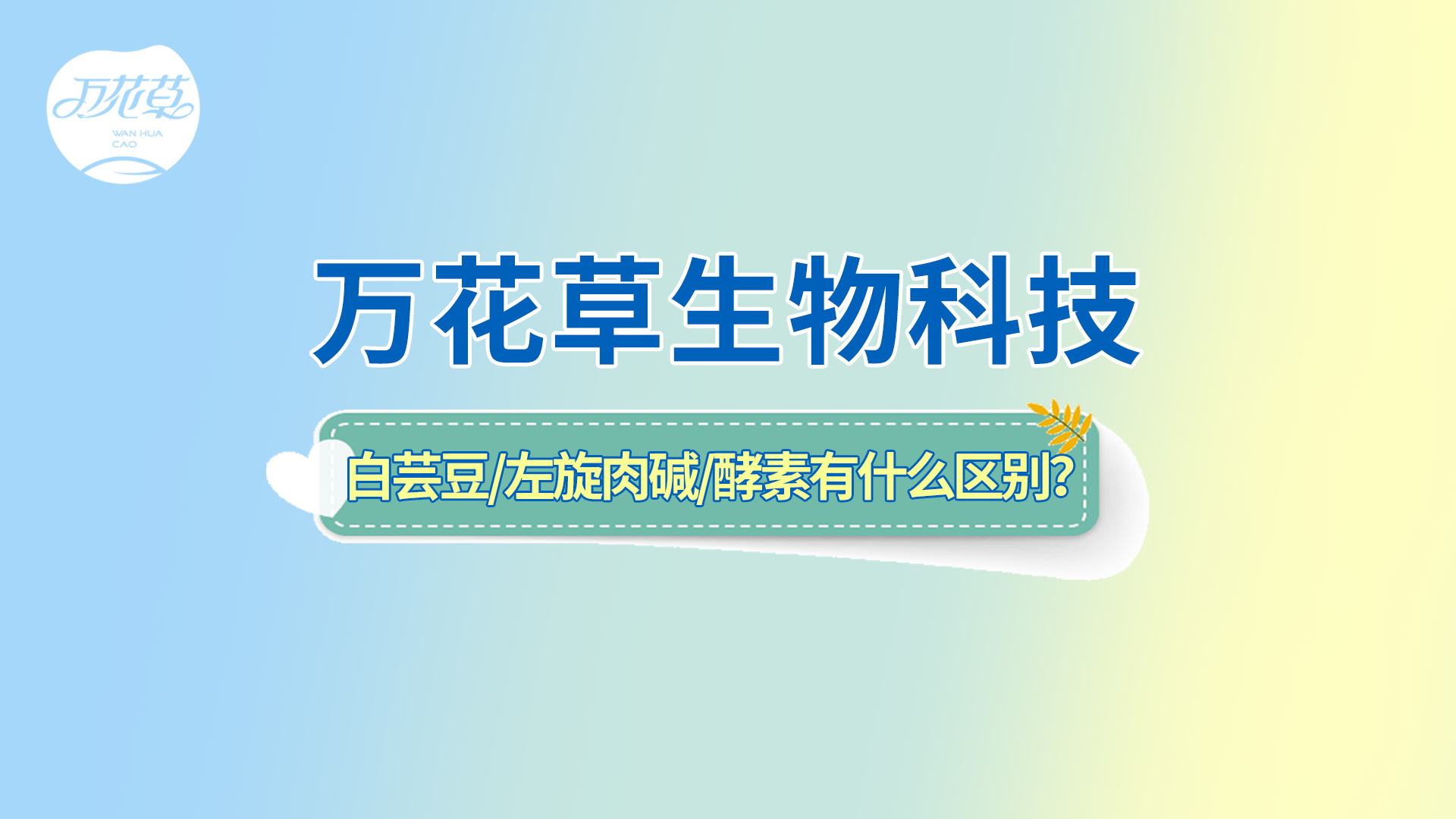 白蕓豆、左旋肉堿、嗨吃酵素有什么區(qū)別？